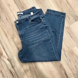 Eloquii Classic Blue Denim 20W